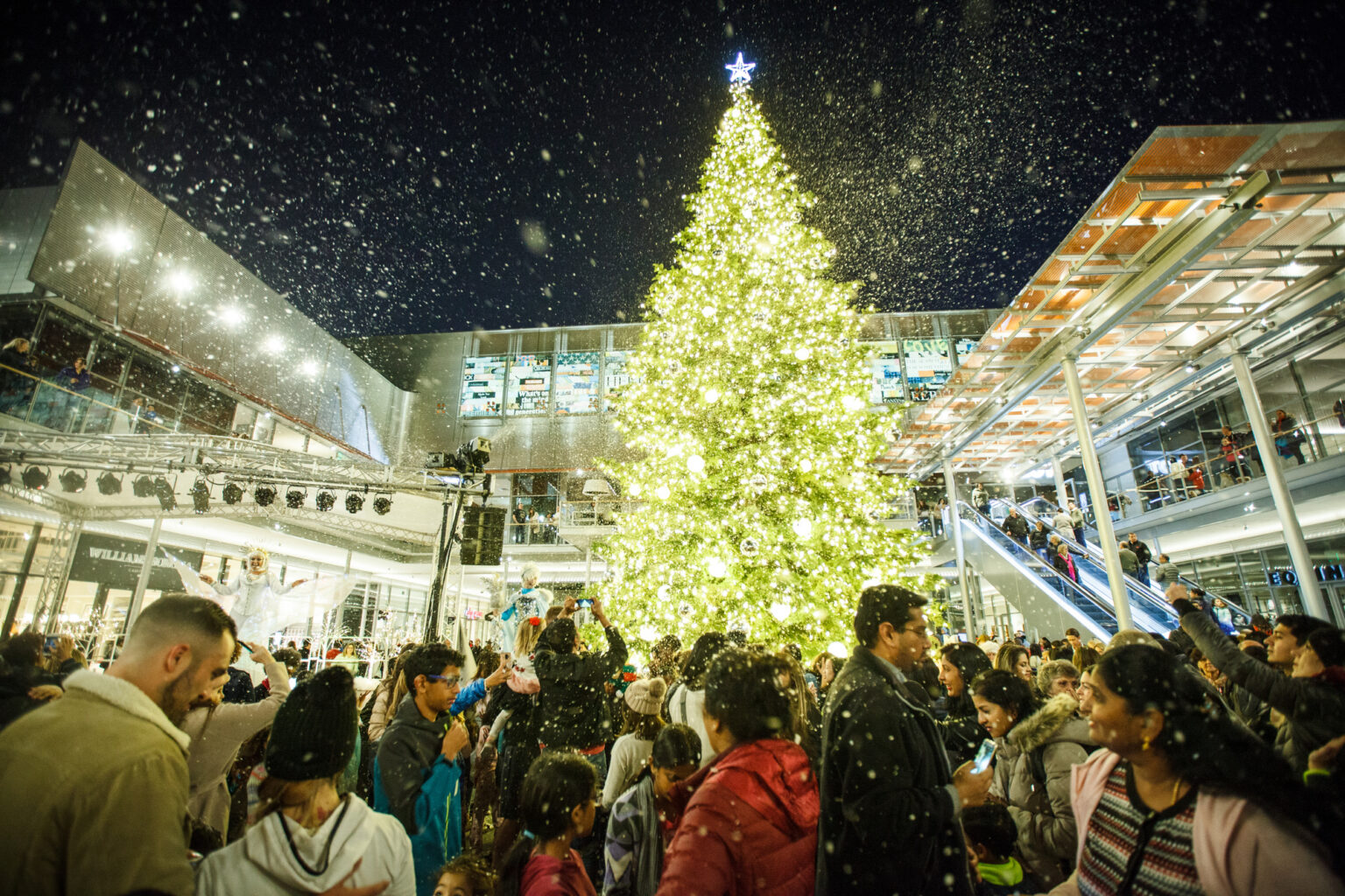 City Center Tree Lighting Event Ranch