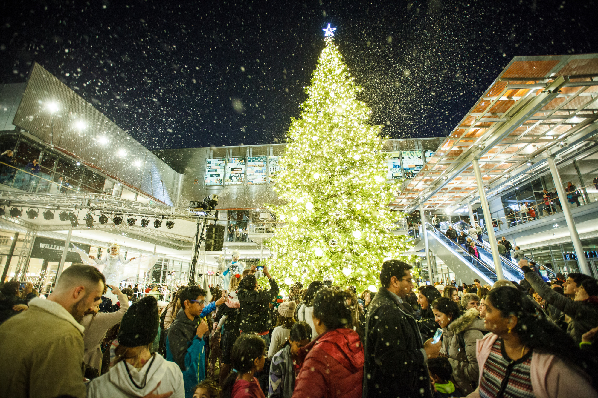 Tree Lighting Celebration at City Center Bishop Ranch